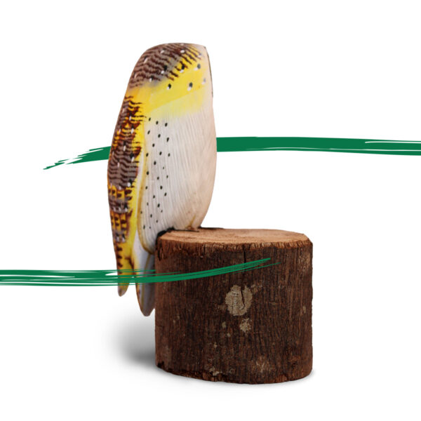 Back shot of a Wooden Barn Owl on a log ornament from Shiny Happy Eco