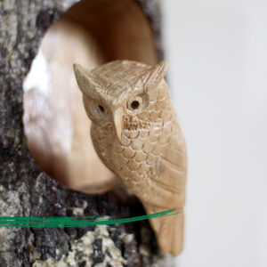 Close up. Wooden Owl in a tree trunk. Handcrafted, Fair-trade. By Shiny Happy Eco
