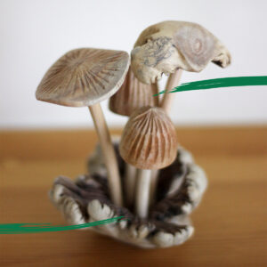 Hand made mushroom ornament made from parasite wood from Shiny Happy Eco.