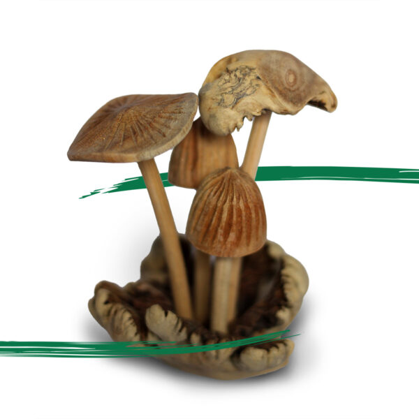 Hand made mushroom ornament made from parasite wood from Shiny Happy Eco.
