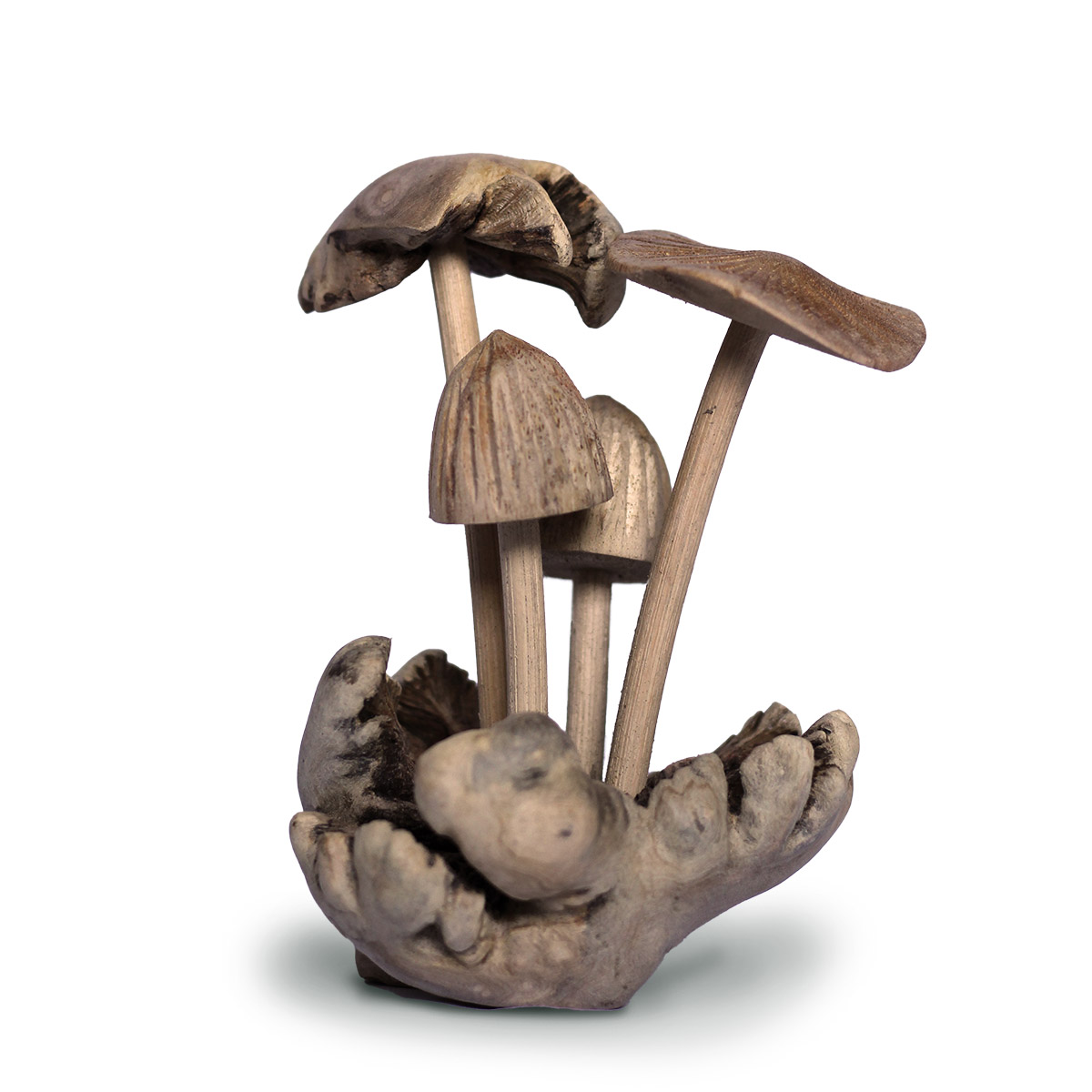 Mushroom Parasite Carving Wooden Ornament 4 Carved Mushrooms With Base..