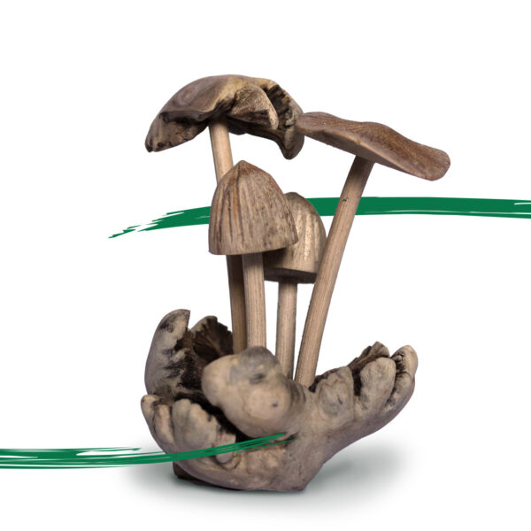 Mushrooms handcrafted from parasite wood. Shiny Happy Eco.