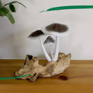Mushrooms - Hand painted on parasite wood from Shiny Happy Eco