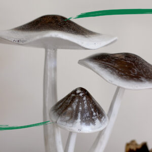 Close up of Mushrooms - Hand painted on parasite wood from Shiny Happy Eco
