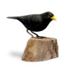 Wooden Blackbird - Large - Ornament from Shiny Happy Eco