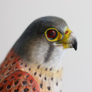 Close up of head of Wooden Kestrel Ornament on mantelpiece available from Shiny Happy Eco